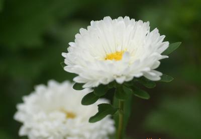 鹽田代理公司法人、地址、股權(quán)變更與代理工廠變更及云平臺服務(wù)全面指南